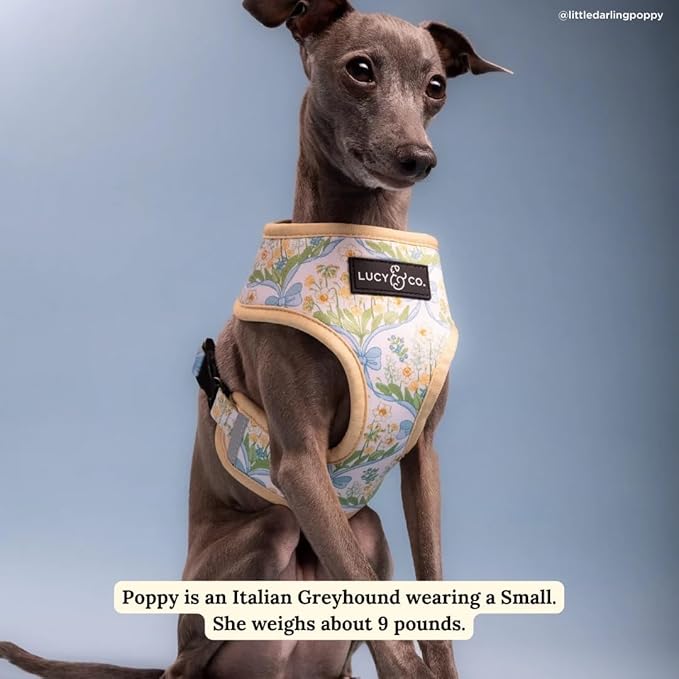 Lucy & Co. Sunshine and Daffodils Reversible Dog Harness, Adjustable Comfort Fit with Dual Leash Attachments, X-Large