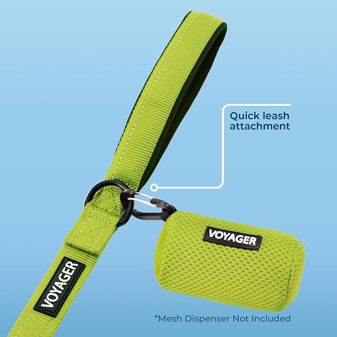 Best Pet Supplies Voyager Reflective Dog Leash or Collar with Neoprene Handle, for Small, Medium, and Large Breed Puppies, Cute and Heavy Duty for Walking, Running and Training - Lime Green (Leash), L