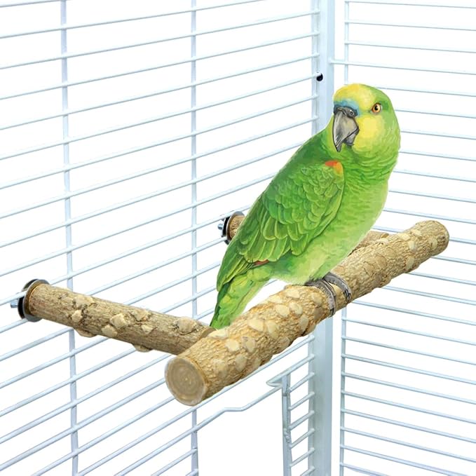 Bird Perch Stand, Bird Cage Top Perch Gym,Natural Wood Parrot Branch for Small Medium Large Parrot (M)