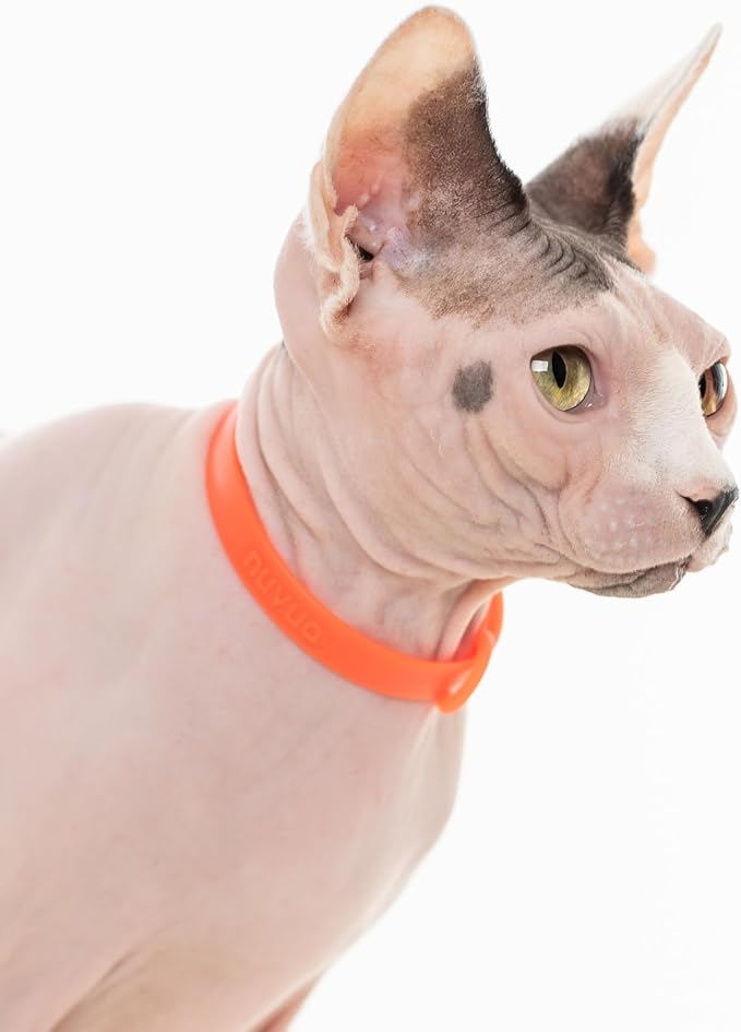3 Pack Breakaway Cat Collar - Soft, Comfortable, and Lightweight Safety Buckle Collar with Name Tag Ring for Outdoor Cats and Sensitive Skin Kittens by Nuvuq (6 ⅞" to 10 ¼") (Black, Orange and Green)