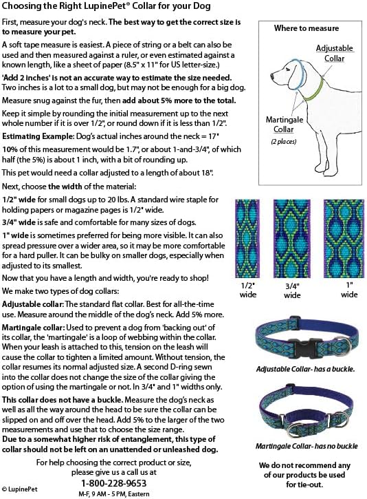 LupinePet Originals 1" Jelly Roll 12-20" Adjustable Collar for Medium and Larger Dogs