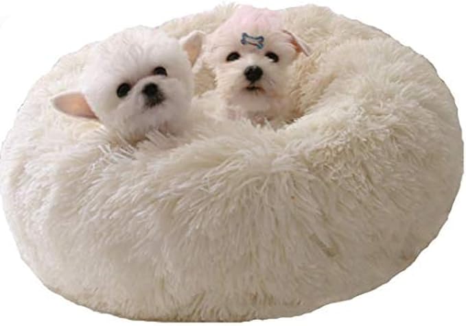 BODISEINT Modern Soft Plush Round Pet Bed for Cats or Small Dogs, Mini Medium Sized Dog Cat Bed Self Warming Autumn Winter Indoor Snooze Sleeping Cozy Kitty Teddy Kennel (24'' D x 8'' H, White)