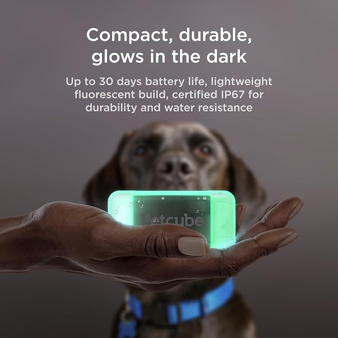 Petcube GPS Tracker for Dogs – Real-Time Location Tracking, Escape Alerts & Virtual Fences, Activity & Wellness Monitoring, Glow-in-The-Dark, Water & Dust Resistant