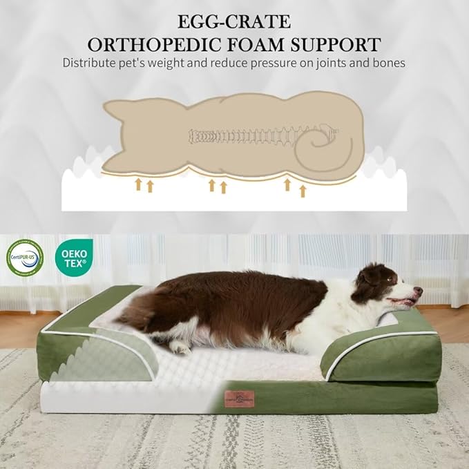 Comfort Expression Orthopedic Dog Bed for Extra Large Dogs 42x30 Inch, Waterproof Egg Crate Foam XL Pet Bed with Removable Bolsters, Dog Couch with Washable Cover & Non-Slip Bottom, Light Green