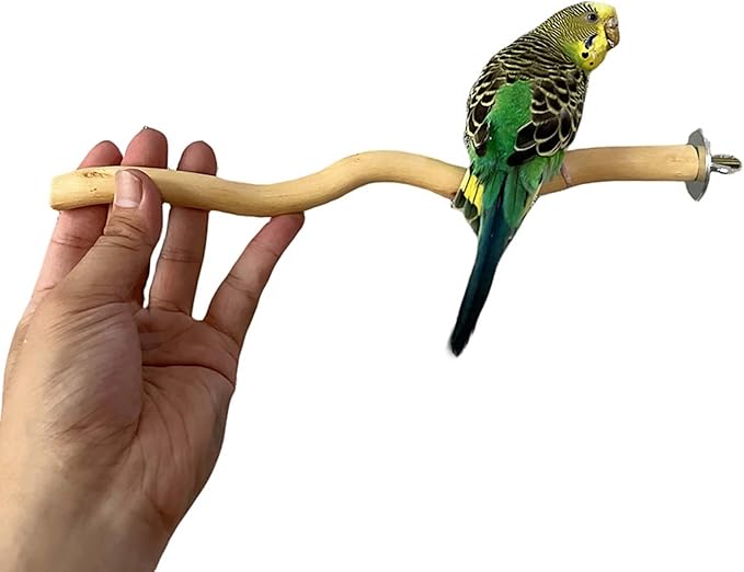 Allazone 5 PCS Natural Parrot Perch Bird Stand Wooden Parrot Perch Stand Parakeet Climbing Standing Branches Toy for Small Lovebirds Budgies Cockatiels