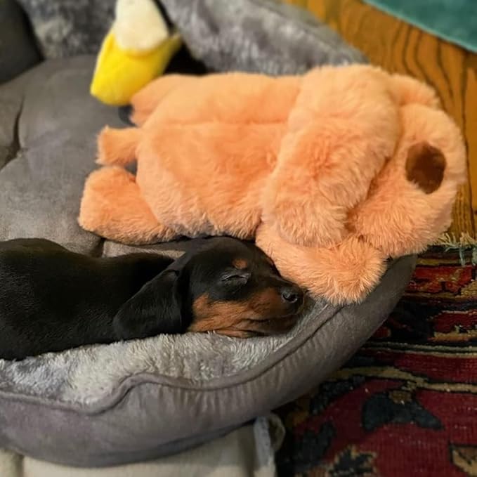 Snuggle Puppy Junior Biscuit