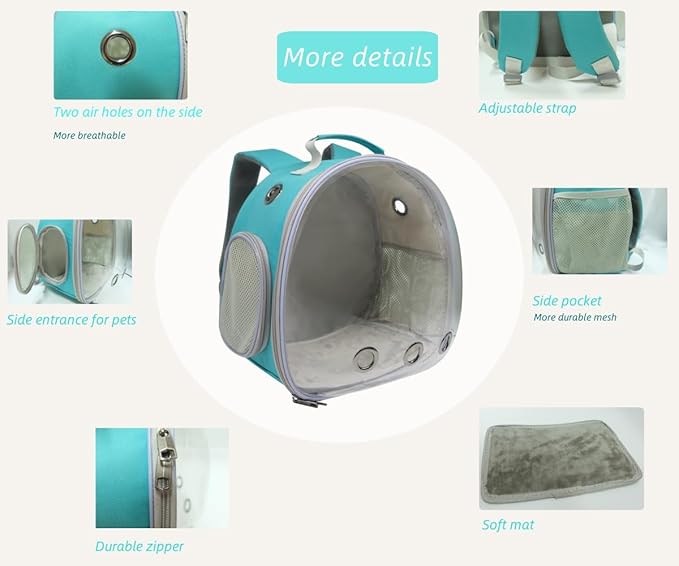 Small Animal Carrier Guinea Pig Backpack,Transparent, Breathable Backpack Carrier for Hedgehogs, Rabbits, Birds, Squirrels, Hamsters, Lizards Comfortable, Portable Travel Bag for Small Pets (Green)