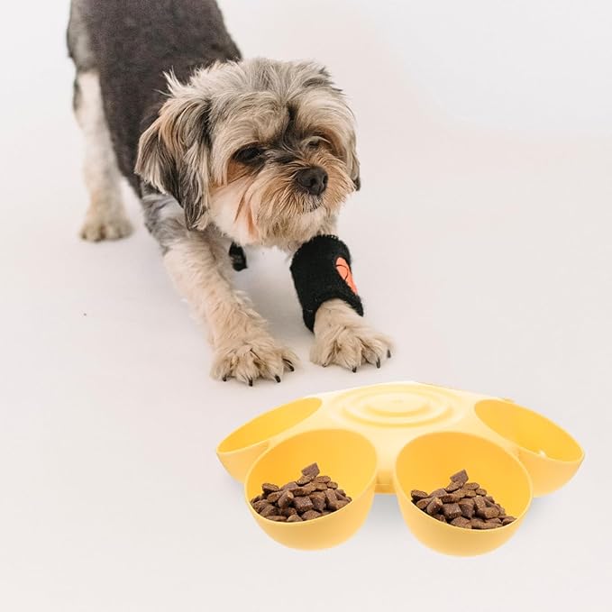 POPETPOP Cat Food Bowl with 6 Bowls - Pet Feeder for Kitten Puppy, Multi Cat Feeder, Multiple Feeder for Indoor s, Feeding Station for Food and Water (Yellow)