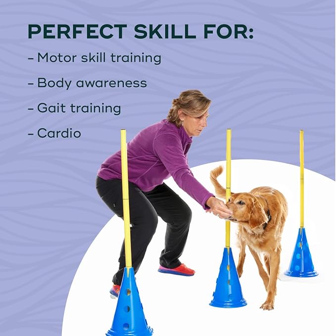 FitPAWS Ball Dynamics CanineGym Agility Kit