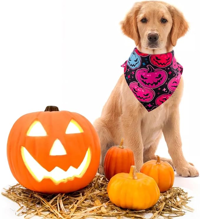 PET SHOW 50 Pack Halloween Small Dog Bandanas Girl Boy Pumpkin Bat Ghost Cat Scarf Adjustable Pet Bibs for Medium Pets Accessories Puppy Outfit Festival Party Supply