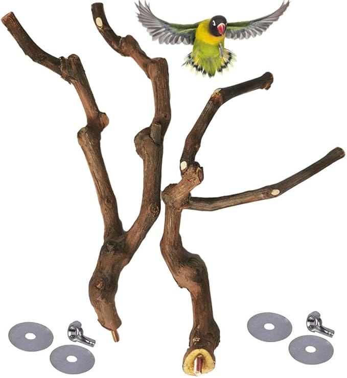 PINVNBY Natural Parrot Perch Bird Stand Pole Wild Grape Stick Paw Grinding Fork Parakeet Climbing Standing Branches Toy Chewable Cage Accessories for Small Lovebirds Budgies Cockatiels 2PCS