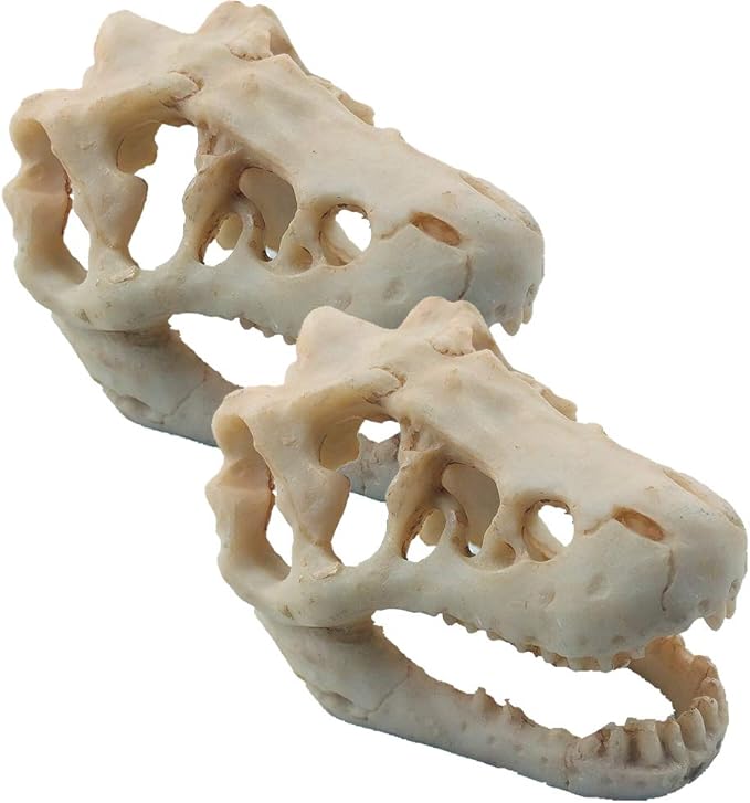2 Pack Dinosaur Aquarium Decorations Skull Aquarium Ornament Mini Dinosaur Mold Decoration Tank Reptile Hide Decor with Holes Fish Tank Landscape Reptile Betta Fish Hideout Caves