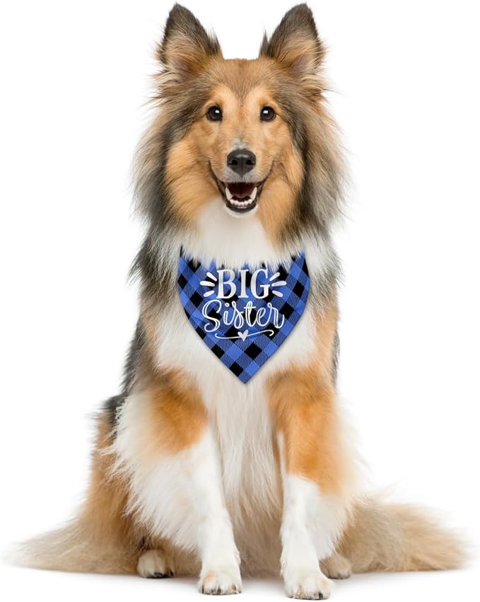 Big Sister Dog Bandanas, Buffalo Plaid Pet Scarf, Pet Dogs Scarf Accessories, Baby Announcement Dog Bandana, Dogs Bandana Gift for Small Medium Large(B18)