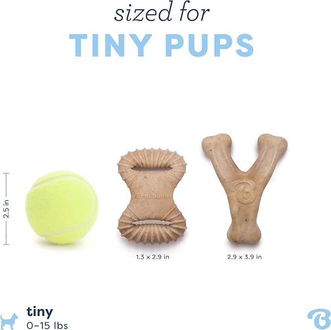 Benebone Puppy 2-Pack Dental Chew/Wishbone Real Chicken Tiny