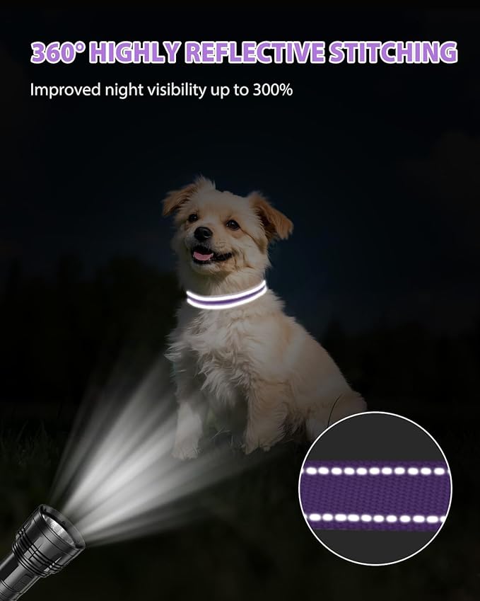 Joytale Small Dog Collar, Reflective and Adjustable Nylon Collar with Quick-Release Buckle, Lightweight No-Choke Design for Small Dogs, Purple, 5/8" Width