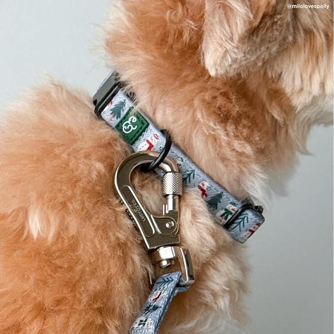 Lucy & Co. Dog Collar - Durable Lightweight Designer Collar for Pets - Adjustable Metal Safety Buckle - Holiday Collar, Snow Much Fun, Gray & White Snowman - Small