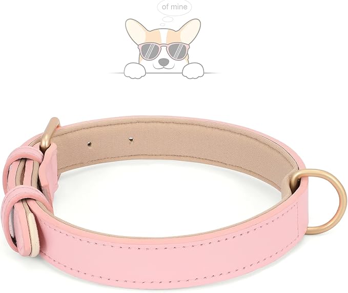 WHIPPY Leather Dog Collar for Small Medium Large Dog Adjustable Soft Breathable Leather Padded Puppy Collar with Alloy Buckle Heavy Duty Waterproof Classic Dog Pet Collar,Pink,S