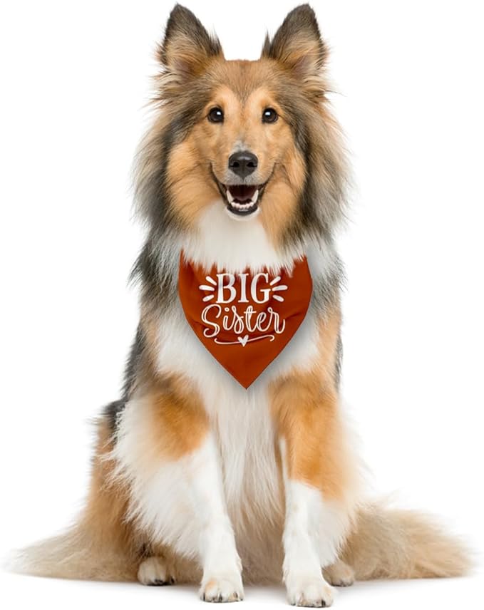Big Sister Bandana for Dogs, Pet Pregnancy Announcement, Dark Orange Dog Bandana, Dog Baby Announcement, Pet Bandanas for Small Medium Dogs (M)