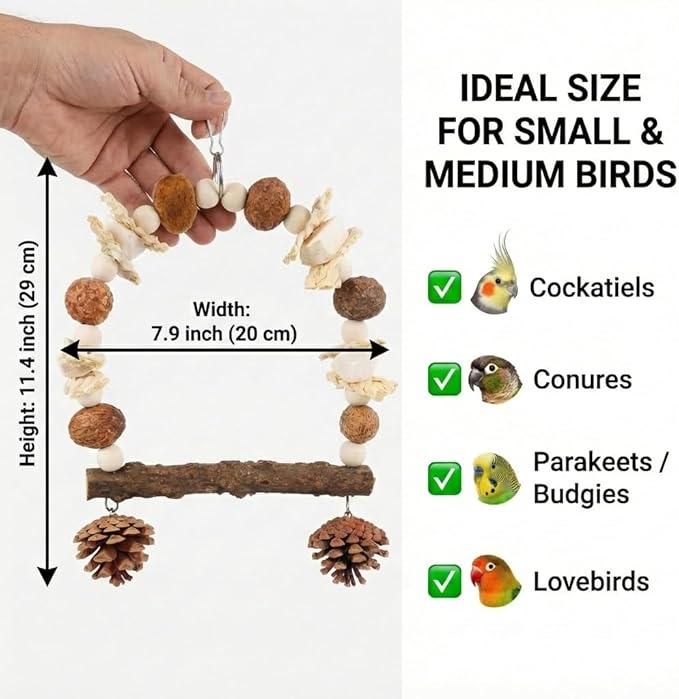 Bird Swing Toy with Cuttlebone & Corn Husks - Hanging Parrot Perch with Chewing Pine Cones - Cage Shredding Accessories for Cockatiels Parakeets Conures Budgies