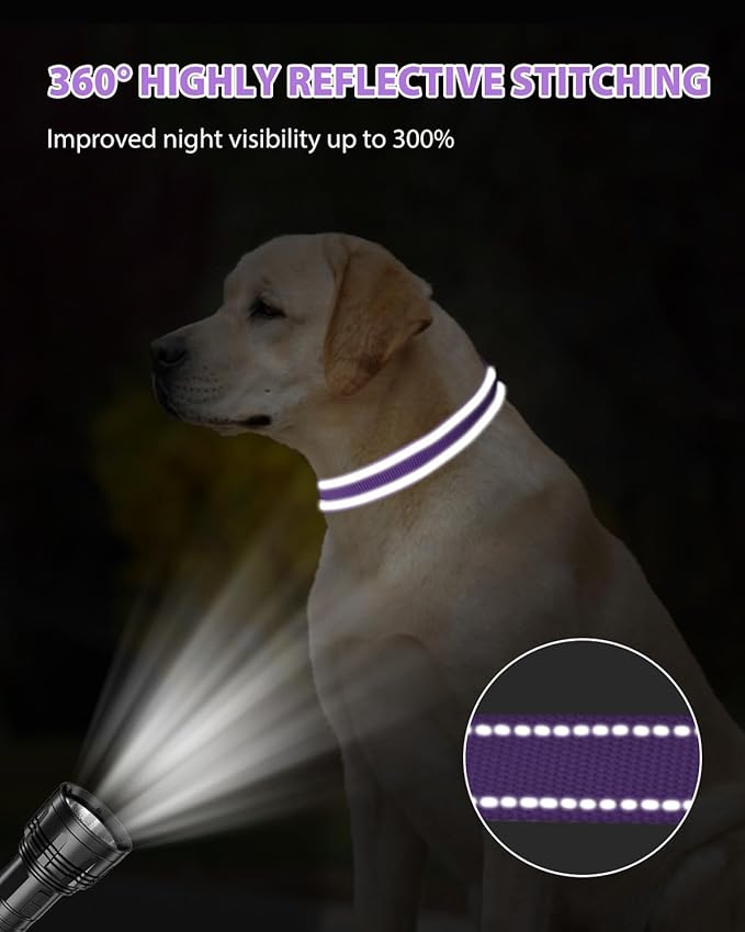 Joytale Reflective Dog Collar, Adjustable Nylon Pet Collar with Quick-Release Buckle for Medium Dogs, Purple, M