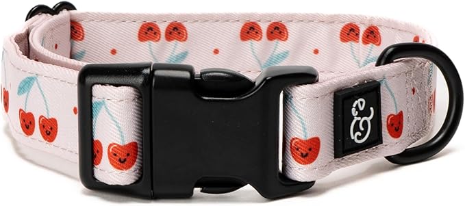 Lucy & Co. Cheery Cherries Dog Collar - Durable Lightweight Designer Collar for Pets - Adjustable Metal Safety Buckel - Red Gingham Cherries – Medium