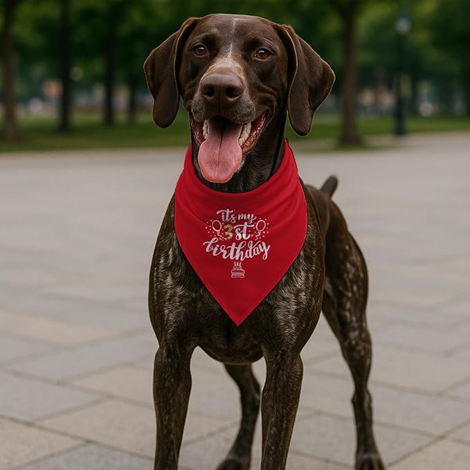 Birthday Dog Bandana, It's My 3 st Birthday Pet Costumes, Adjustable Comfortable Triangle Dog Scarf, Pet Birthdays Accessory for Small and Medium Dogs