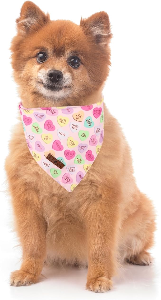 Lionet Paws Valentine's Day Dog Bandana Washable Cotton Beige Handkerchief Scarf Triangle Love Letter Bandana for Small Medium Dogs Girl Boy