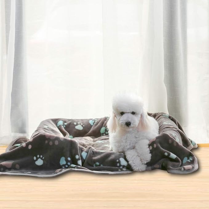 Allisandro 350 GSM Super Soft and Premium Fuzzy Flannel Fleece Pet Dog Blanket, The Cute Print Design Washable Fluffy Blanket for Puppy Cat Kitten Indoor or Outdoor, Grey, 64 x 40 Inches