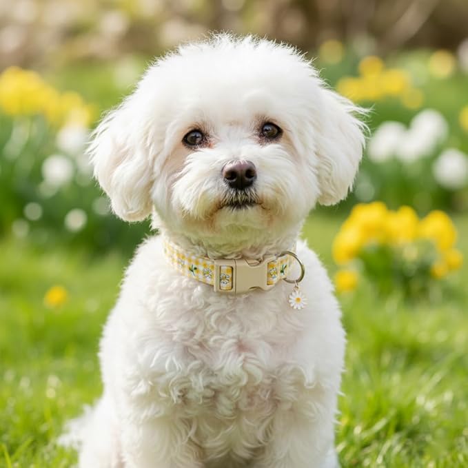 Cute Dog Collar, Yellow Plaid Dog Collar with White Floral Pattern, Spring Summer Design Floral Collar for Girls Boys Medium Dogs