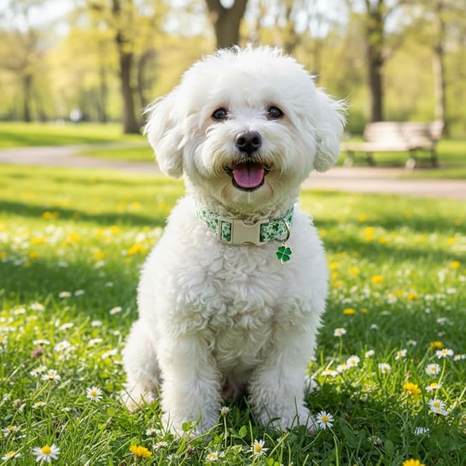 XS Dog Collar for St. Patrick's Day, Cute Dog Collar with Green Clover for Puppy, Extra Small & Small Dogs, Adjustable Puppy Collar with Soft Fabric and Quick Release Buckle