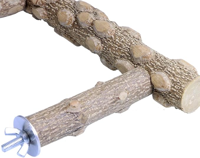 Bird Perch Stand, Bird Cage Top Perch Gym,Natural Wood Parrot Branch for Small Medium Large Parrot (M)