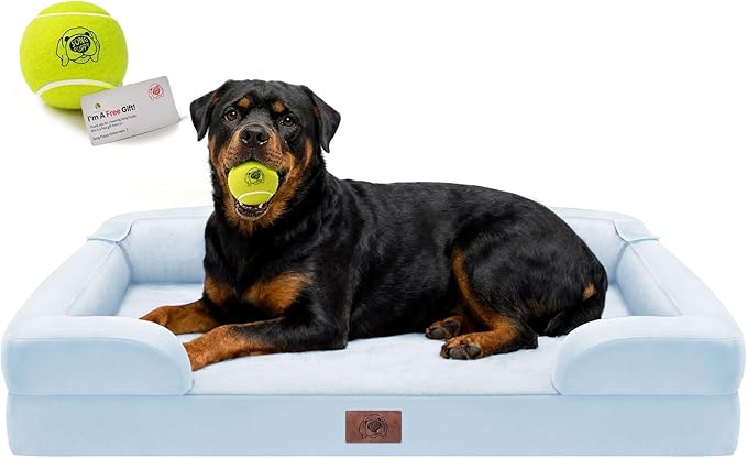Orthopedic Dog Bed for Extra Large Dogs, XXL Waterproof Egg Crate Memory Foam Pet Bed Bolsters with Removable Washable Cover & Non-Slip Bottom, Tennis Ball Toy, 45x35
