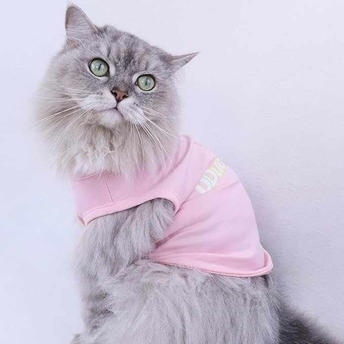 Custom Dog Shirt,Personalized Pet Apparel with Name Text Photo Image,Lightweight Breathable Puppy Kitten Cotton Vest for Small Medium Large Dogs Cats,Puppy Gift (Blue, 8X-Large)