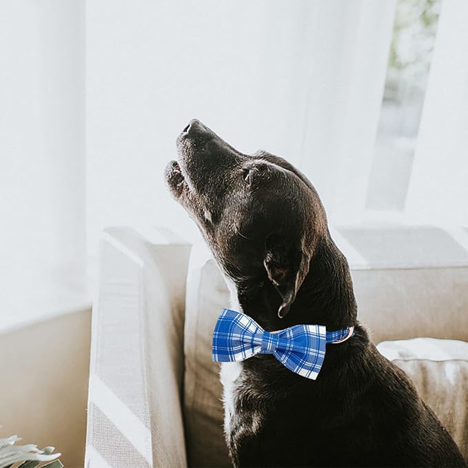Lionheart glory Dog Collar, Boy Dog Collar Bowtie Blue Adjustable Dog Bowtie Collar Bows Dog Collar for Medium Dogs