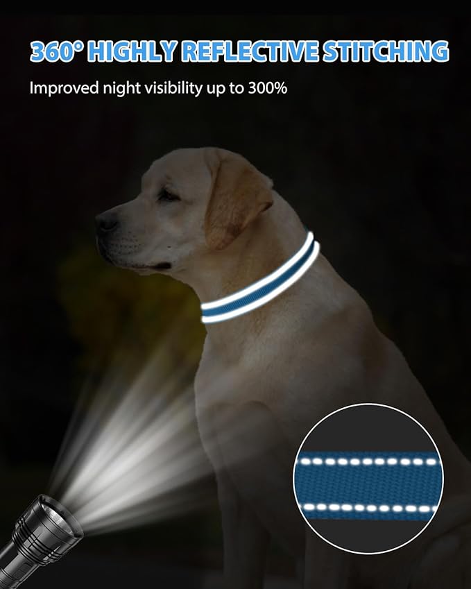 Joytale Reflective Dog Collar, Adjustable Nylon Pet Collar with Quick-Release Buckle for Medium Dogs, Sky Blue, M