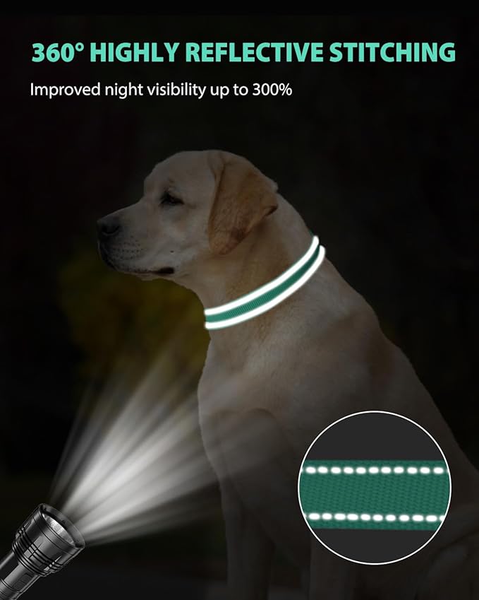 Joytale Reflective Dog Collar, Adjustable Nylon Pet Collar with Quick-Release Buckle for Medium Dogs, Teal, M
