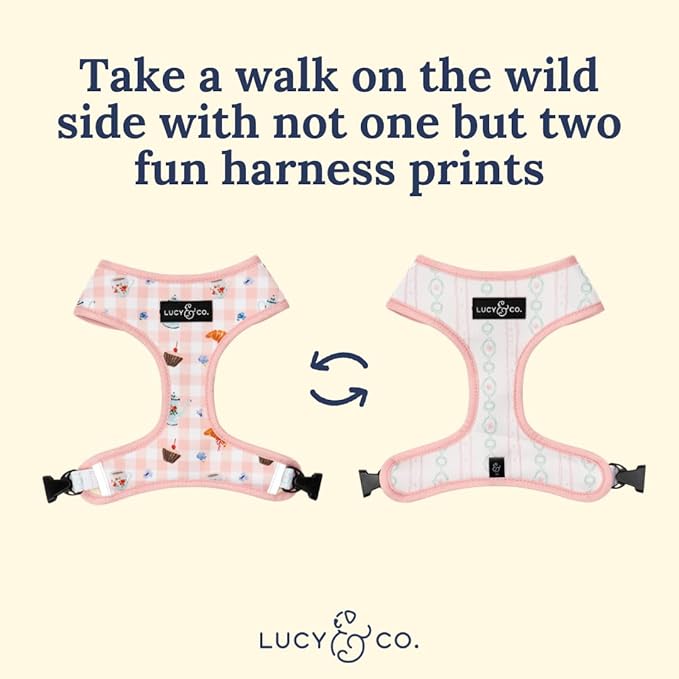 Lucy & Co. Sipping Slowly Reversible Dog Harness, Adjustable Comfort Fit with Dual Leash Attachments, Small
