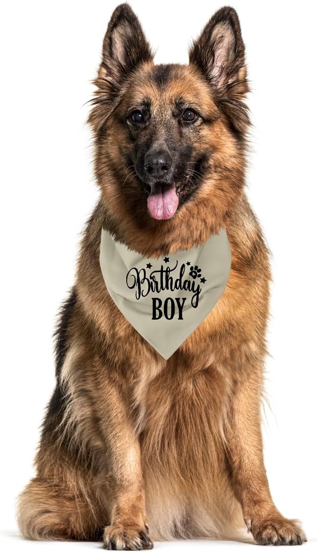 A19 Birthday Dog Bandana - Apricot, Small to Large Sizes, Boy, Gift for Dog Lovers