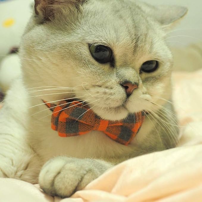 Cat Collars Breakaway with Bell and Bow Tie, Plaid Design Adjustable Safety Kitty Kitten Collar(6.8-10.8in) (Orange Plaid)