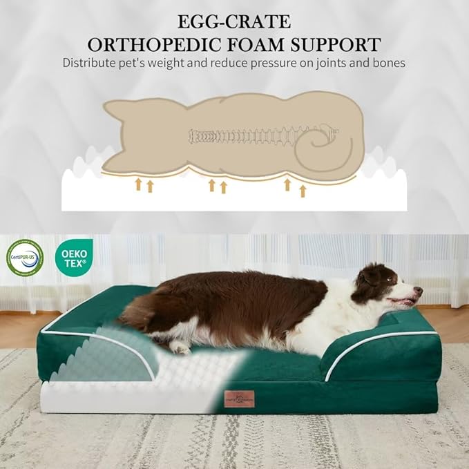 Comfort Expression Orthopedic Dog Bed for Large Dogs 36x27 Inch, Waterproof Supportive Egg Crate Foam Large Pet Bed with Removable Bolsters, Dog Couch with Washable Cover & Non-Slip Bottom, Emerald
