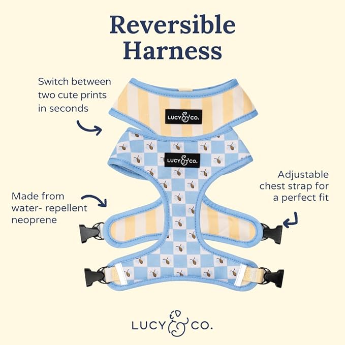 Lucy & Co. Bumbling Around Reversible Dog Harness, Adjustable Comfort Fit with Dual Leash Attachments, X-Large