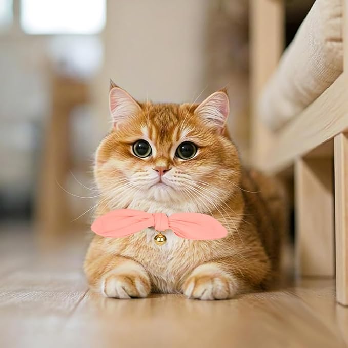 Bunny Ear Cat Collar with Bell and Bow Tie, Breakaway Cute Bowtie Kitten Collars(Coral Orange)