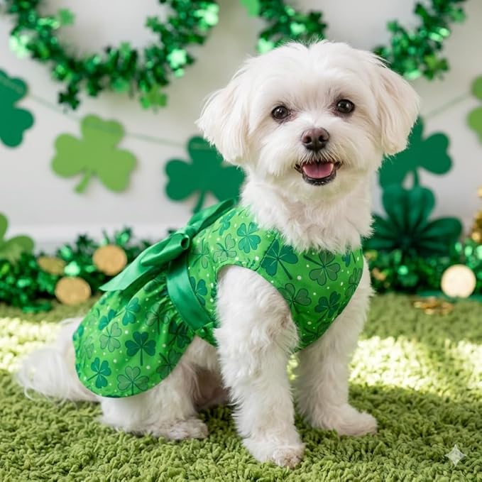 St. Patrick's Day Dog Dress Custom Name Puppy Outfit with Clover Cute Pet Skirt for Small Dogs & Cats