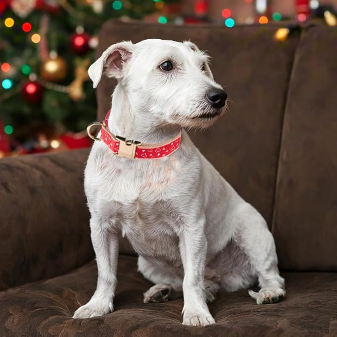 Woven Dog Collar with Metal Buckle Adjustable Jacquard Retro Dog Collars for Small Medium Large Dogs(Red Heart,S)