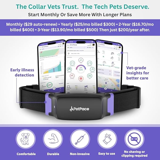 V3.0 Dog Health Monitor – AI Health Collar with 24/7 Vital Signs Tracks Pain GPS, Telehealth AskaVet & Share with Your Vet & Apple Watch Sync – Subscription Required (Medium)