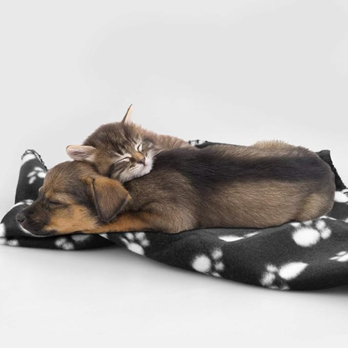 Comsmart Dog Blankets for Small Dogs, 6 Pack Puppy Blanket Cute Paw Print Pet Blanket for Dog, Puppy, Cat, Kitten, 24x28 inches, Black