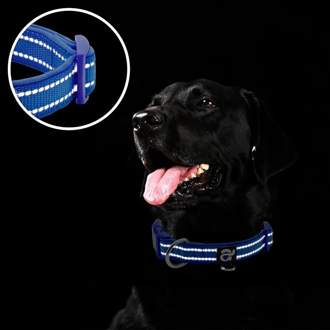 azuza Reflective Dog Collar,Soft Neoprene Padded Pet Collar with ID Tag Ring,Adjustable for Large Dogs,Royal Blue,L