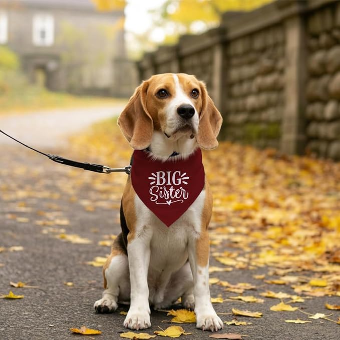 Big Sister Bandana for Dogs, Dog Pregnancy Announcement, Dark Red Dog Bandana, Pet Bandana for Small Medium Large Dogs (M)