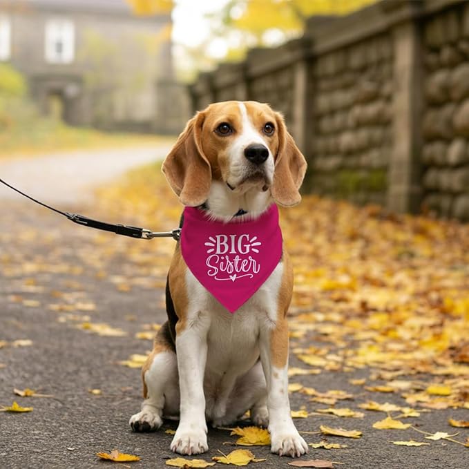 Big Sister Dog Bandana, Dog Bandana, Deep Pink Pet Dog Scarf Accessories, Pet Dog Triangle Scarf, Dog Bandana for Small Medium Dogs, Baby Announcement Dog Bandana, Dog Bandana Pet Scarf (M)