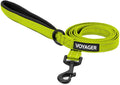 Best Pet Supplies Voyager Reflective Dog Leash or Collar with Neoprene Handle, for Small, Medium, and Large Breed Puppies, Cute and Heavy Duty for Walking, Running and Training - Lime Green (Leash), S